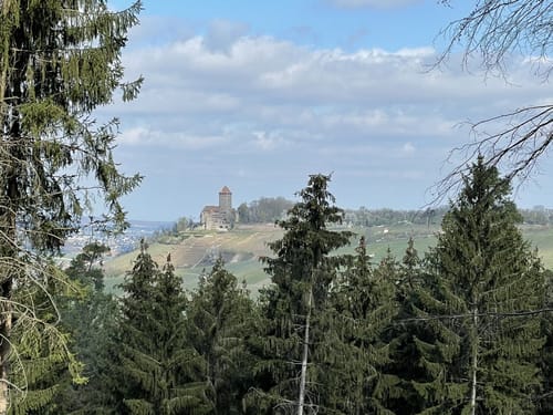 Rundwanderung im Hardtwald