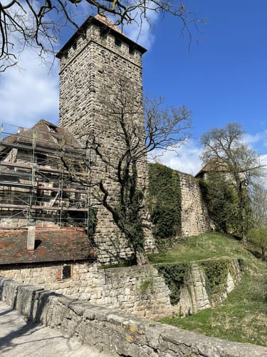 Rundwanderung im Hardtwald