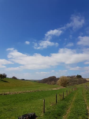 Rund um Gutenthal