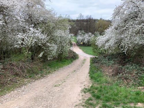 Von Schierstein zum Bleichbach
