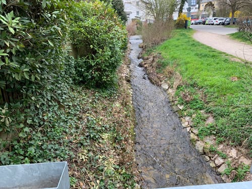 Von Schierstein zum Bleichbach