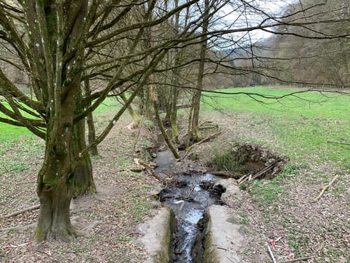 Von Schierstein zum Bleichbach