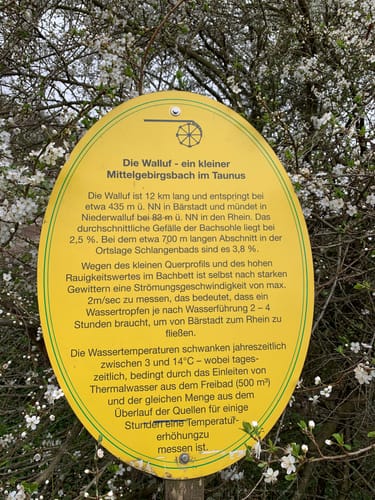 Von Schierstein zum Bleichbach