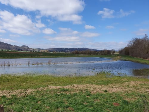 Waldecker Berg und Knappen-Berg ab Korbach