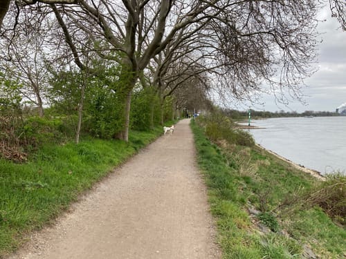Rhein-Wanderweg: Baerl - Orsoy