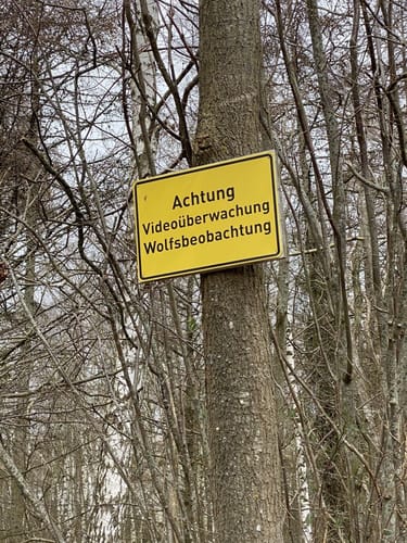 Steintanz von Netzeband