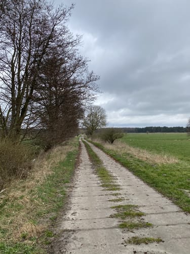 Steintanz von Netzeband