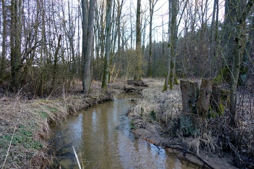Eibachgrund
