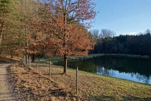 Eibachgrund