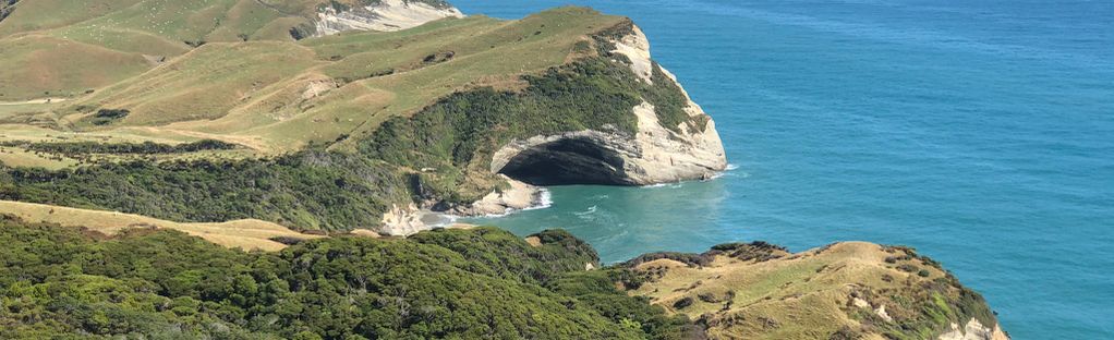 Pillar Point via Hilltop Walk and Fossil Point Track | Map, Guide -  Nelson-Tasman, New Zealand | AllTrails