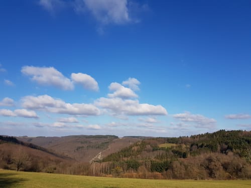 Durch den Norden von Monzelfeld