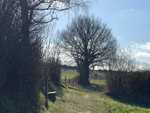 Rundwanderweg Bokholt