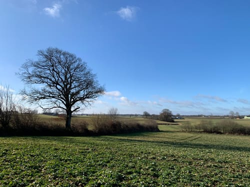 Rundwanderweg Bokholt
