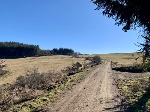 Wacholderweg (Traumpfad)