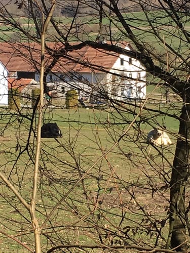 Rund um den Oberrieder See
