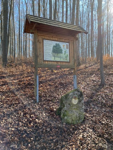 Martinroda - Veronikaberg - Karolinenblick