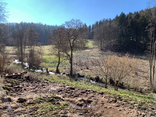 Bad Herrenalb Rundgang