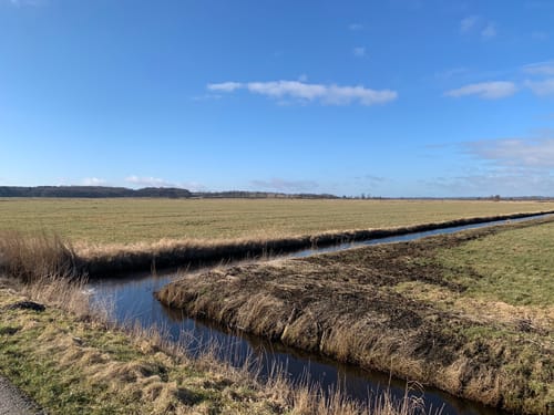 Über die Felder bei Börmerkoog