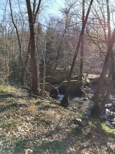 Im Lametbach-Tal