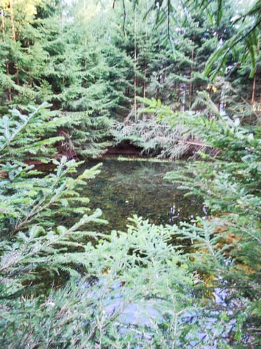 Im Lametbach-Tal
