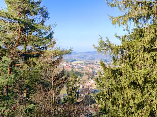 Litermont Sagenweg (Traumschleife)