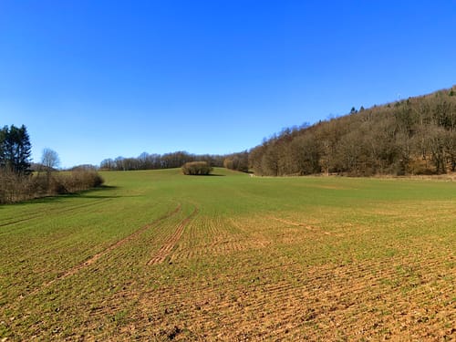 Litermont Sagenweg (Traumschleife)