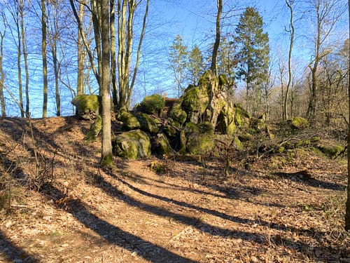 Litermont Sagenweg (Traumschleife)