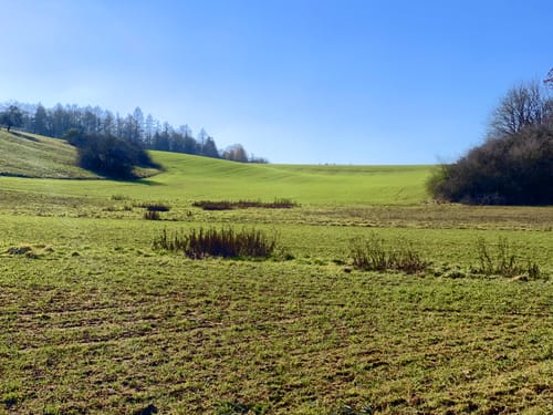 Litermont Sagenweg (Traumschleife)