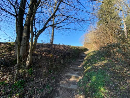 Durchs Neandertal und rund um das Kalksteinwerk