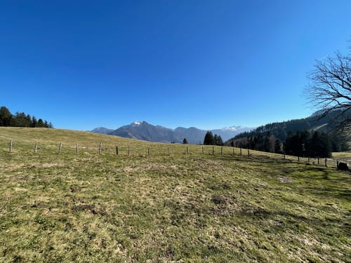 Über die Zeppelinhöhe zur Rachlalm und Hefteralm