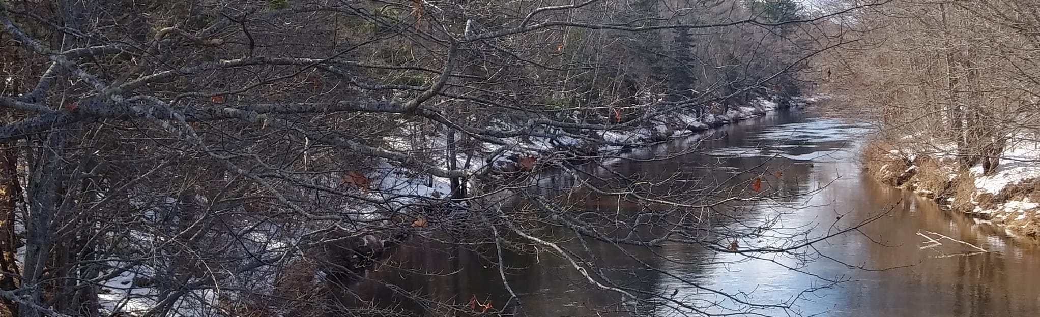 Middleton Nictaux Loop, Nova Scotia, Canada 18 Reviews, Map AllTrails