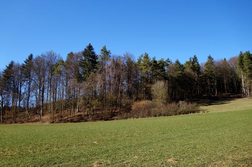 Rundweg Illafeld
