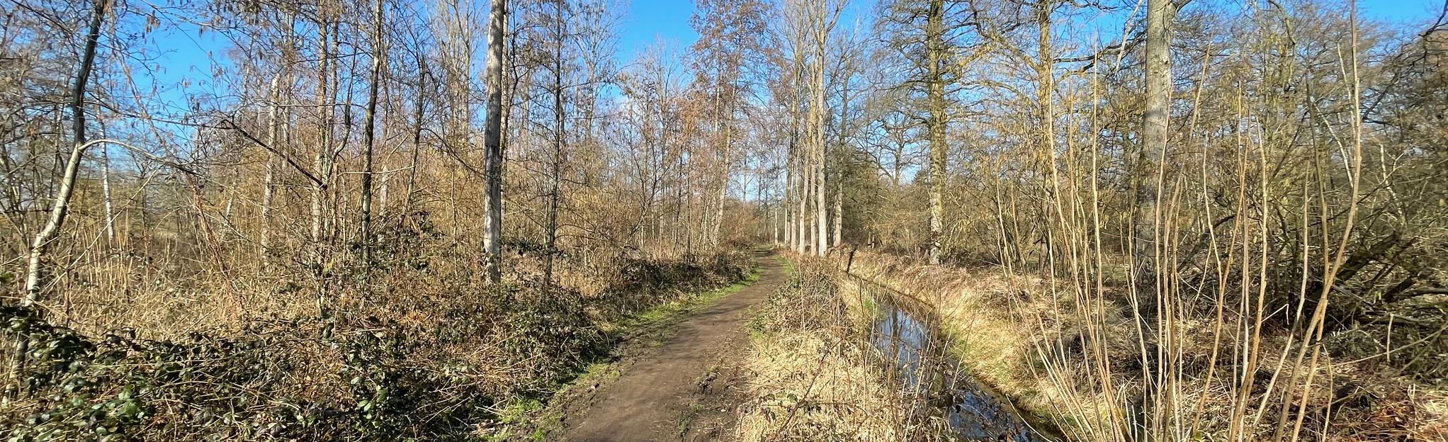 AllTrails | Heerenbeekroute: 1 Reviews, Map - North Brabant, Netherlands