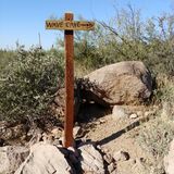 Carney Springs Trail And Lost Goldmine Trail, Arizona - 170 Reviews 