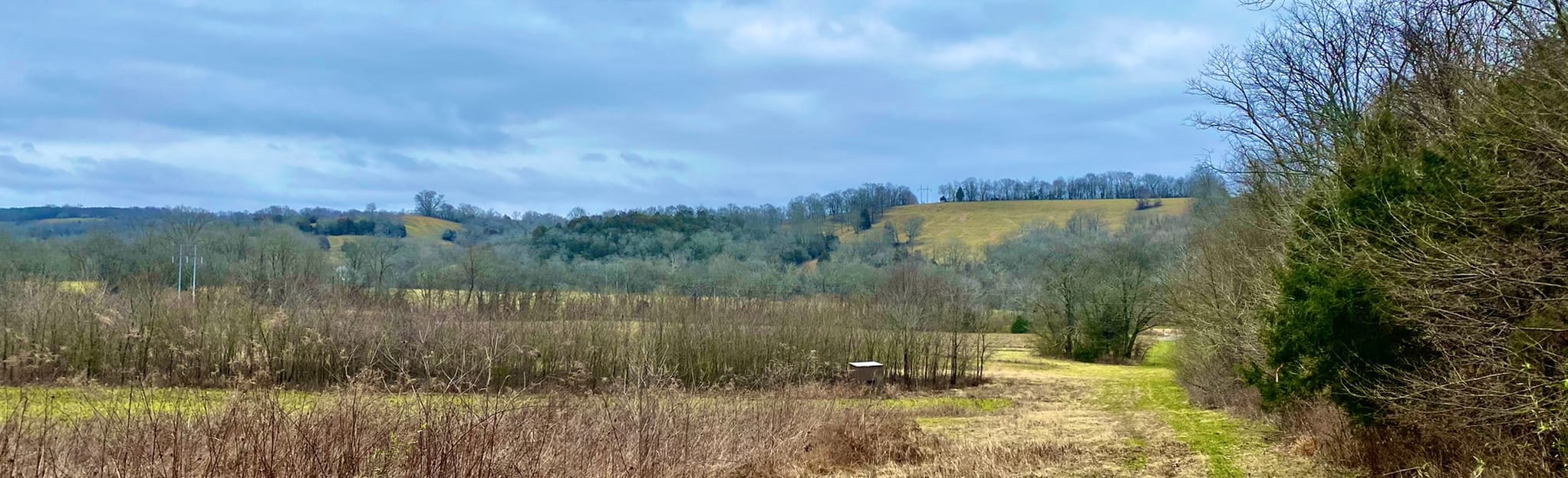 Williamsport Lakes 17 Reviews, Map Tennessee AllTrails