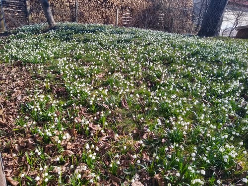 Grafing nach Aßling