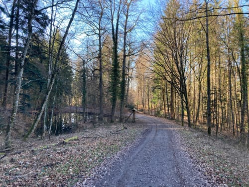 Riesbergturm - Felsenmeer - Römersee