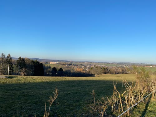 Rund um den Absinkweiher Hahnwiese