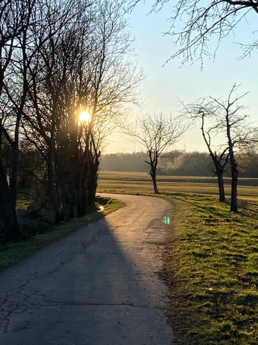 Rund um den Absinkweiher Hahnwiese
