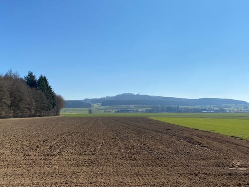 Auf Feldwegen nach Möhringen