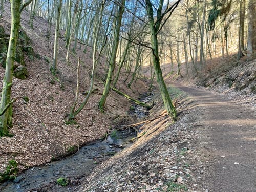 Bergheidenweg (Traumpfad)