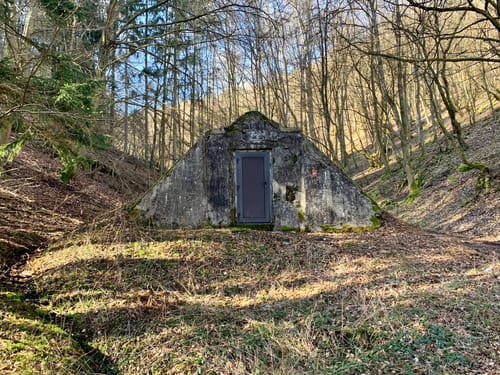 Bergheidenweg (Traumpfad)