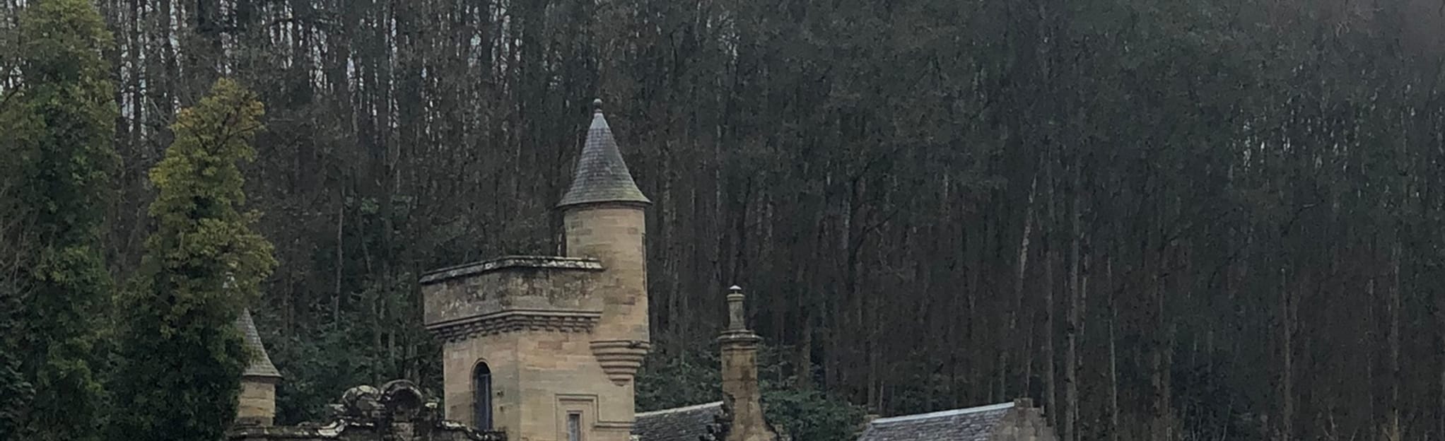 Maudslie and West Brownlee Woods, South Lanarkshire, Scotland 23