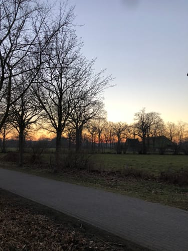 In den Moorbekpark
