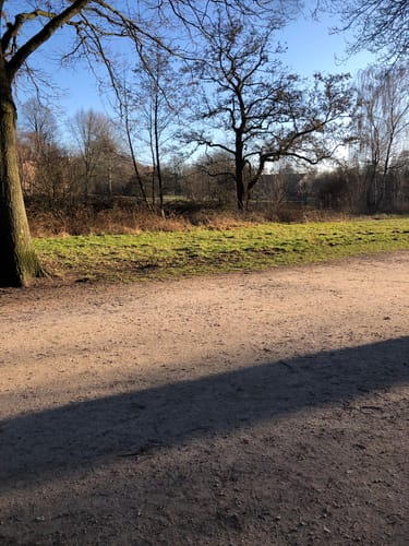In den Moorbekpark
