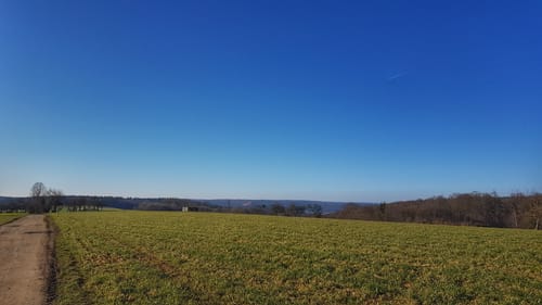 Rundwanderweg Lützelbach 2: Wolfsloch-Weg