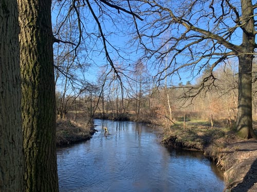 Schwalmbruch (Premiumwanderweg)