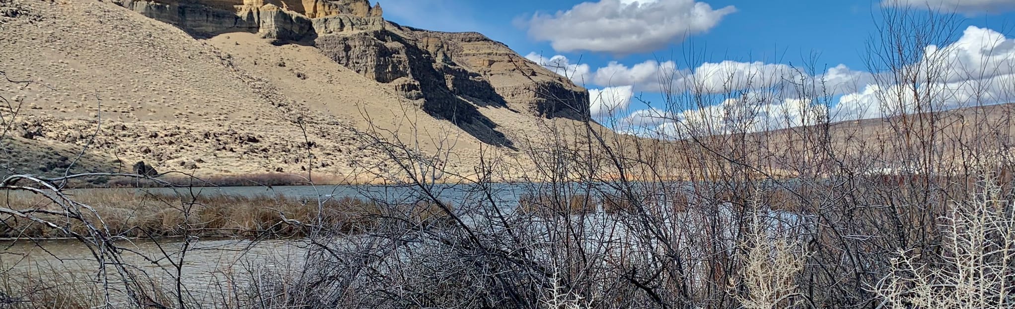 Swan Falls Dam Southeast Trail 50 Reviews, Map Idaho AllTrails
