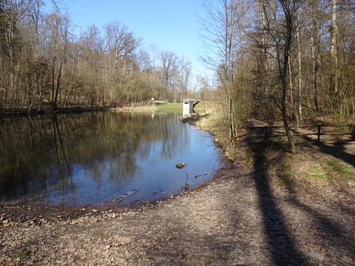 Rundwanderweg 5: Gaffenberg - Schweinsberg - Köpfertal