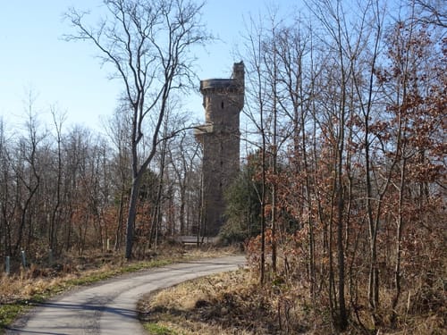 Rundwanderweg 5: Gaffenberg - Schweinsberg - Köpfertal